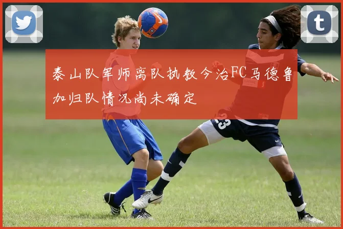 泰山队军师离队执教今治FC马德鲁加归队情况尚未确定