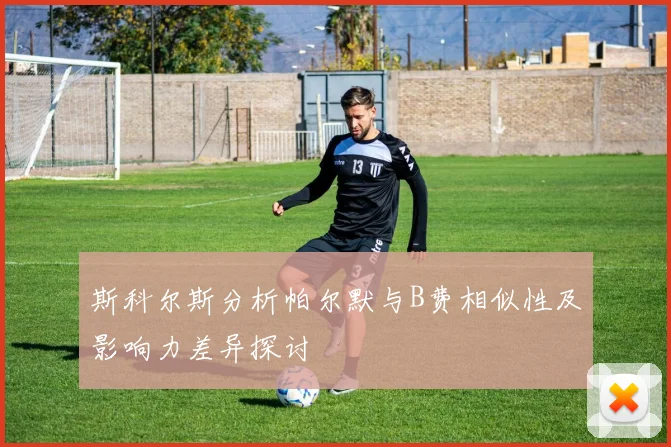 斯科尔斯分析帕尔默与B费相似性及影响力差异探讨